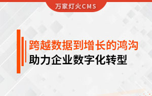 跨越數(shù)據(jù)到增長的鴻溝，助力企業(yè)數(shù)字化轉(zhuǎn)型